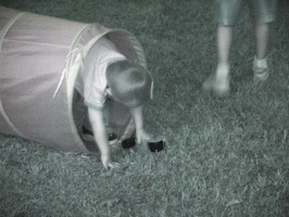 Playing after dusk (infrared)