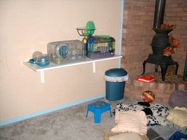 Hamsters bookcase on order.jpg