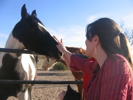 Sherry being brave and giving the horse some pets. Go Sherry!