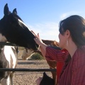 Sherry being brave and giving the horse some pets. Go Sherry!