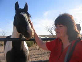 Horse wanting attention from Grandma.