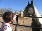 Nona petting the horse.