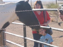 Nicolas looking up horse's nose.  &quot;There's nasty stuff in there.&quot;