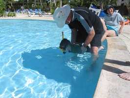 Snorkle in the pool