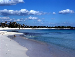 Beach south of Barcel&amp;oacute; 2