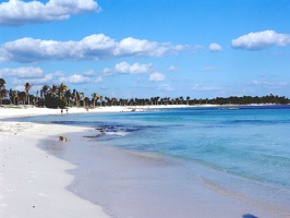 Beach south of Barcel&amp;oacute; 3