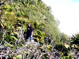 Travis climbing the cliffs at Tulum