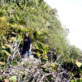Travis climbing the cliffs at Tulum
