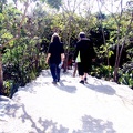 Walking down into Tulum