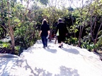 Walking down into Tulum