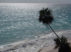 Looking SE from the cliff