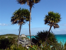 Cliffs at Tulum.  Looking North towards the lighthouse.