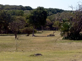 The cemetary.  This was where they laid their dead to rest.  They couldn't bury them because of ground conditions, but apparentl