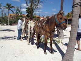 Family photo from Cancun, 2006