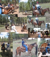 horse riding