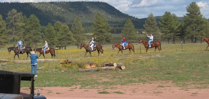 horse riding/reunion