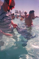 Mark stroking a stingray