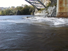 G. St. John -Bay of Fundy 141