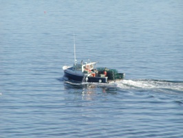 Portland-Lobster Boat 180