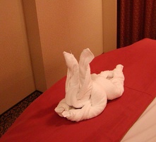 Towel Animals in room  039