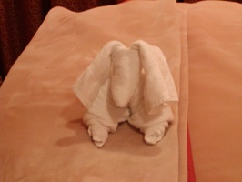 Towel Animals in room  052