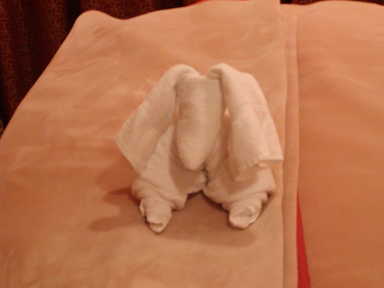 Towel_Animals_in_room_052.jpg
