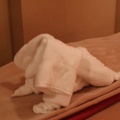 Towel Animals in room  053