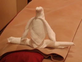 Towel Animals in room 134