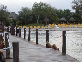 Cozumel and Wedding 043