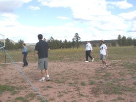 volleyball