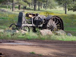 PorcarioReunion0993.jpg