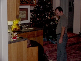 Christmas, Gallup, 2003