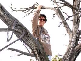 Nessa and the dead tree 1