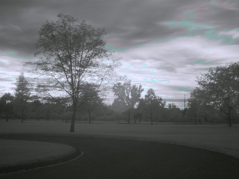 Boise_Green_Belt_Colorized_Infrared_4.jpg