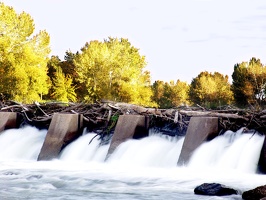 Boise River 1