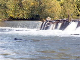 Boise River 3