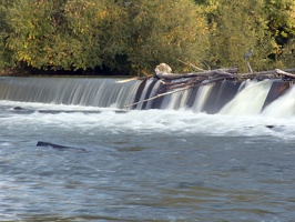 Boise River 4