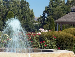 Julia Davis Park Rose Garden in August