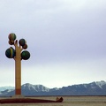 Sculpture at Bonneville Salt Flats, Utah